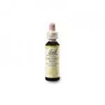 BACH Květová esence č. 7 Chestnut bud 20 ml