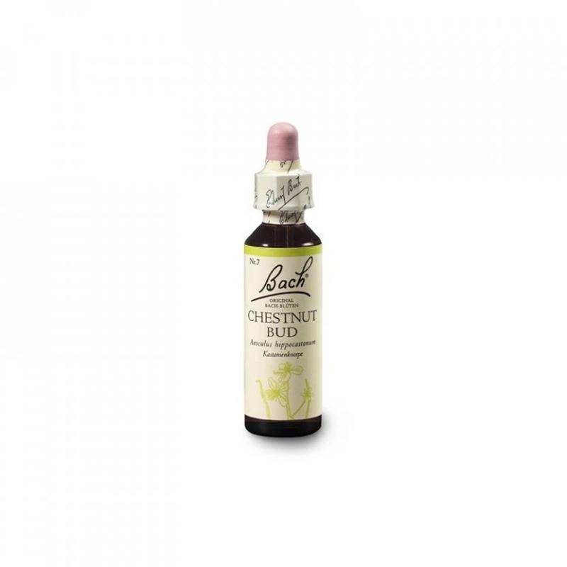 chestnut-bud BACH Květová esence č. 7 Chestnut bud 20 ml - Obrázek 1
