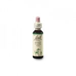 BACH Květová esence č. 15 Holly 20 ml