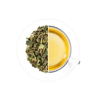 Oxalis kopřiva dvoudomá