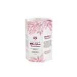 Oxalis matcha Konnichiwa BIO