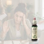 BACH Květová esence č. 4 Centaury 20 ml - Obrázek 2