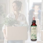 BACH Květová esence č. 33 Walnut 20 ml - Obrázek 2
