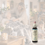 BACH Květová esence č. 8 Chicory 20 ml - Obrázek 2